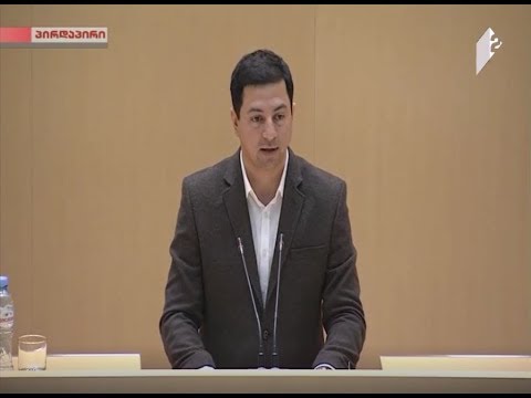არჩილ თალაკვაძის სიტყვით გამოსვლა პარლამენტის პლენარულ სხდომაზე