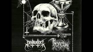 Destruktor / Throneum "A Prophecy of Nihilism" (2014)
