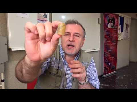 რას აკეთებს 4Restore (ფორრესტორი)