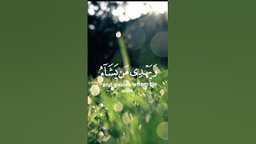 تلاوة مؤثرة بصوت هادئ ونقي ~~ سورة يونس