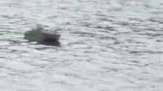 This is a short movie that I made of my 1/32 scale Lindberg PT Boat...