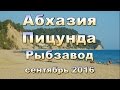 Абхазия, Пицунда, Рыбзавод 2016 сентябрь