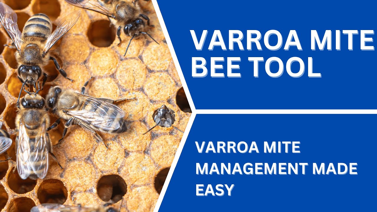 Varroa Management Tool - YouTube
