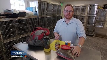 How to Assemble an Emergency Pet Go-Bag