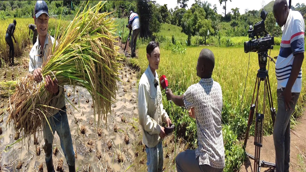 Đài truyền hình đến Phỏng vấn các bạn trong trang trại || Tony Phong cuộc sống Châu Phi