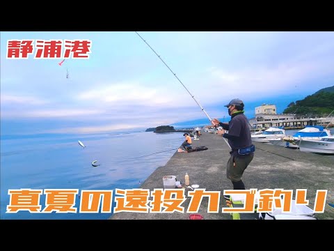 【遠投カゴ釣り】真夏の静浦港で遠投カゴ釣り