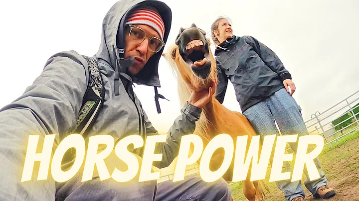 COACHING WITH HORSES AT THE KANTELHOEVE / Horse Power!