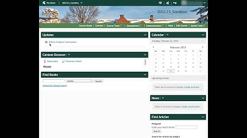 Impersonating the Demo Student in Desire2Learn
