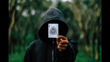 HOW TO CHOOSE A WINNING HORSE. EVERYTIME. CHAPTER-1