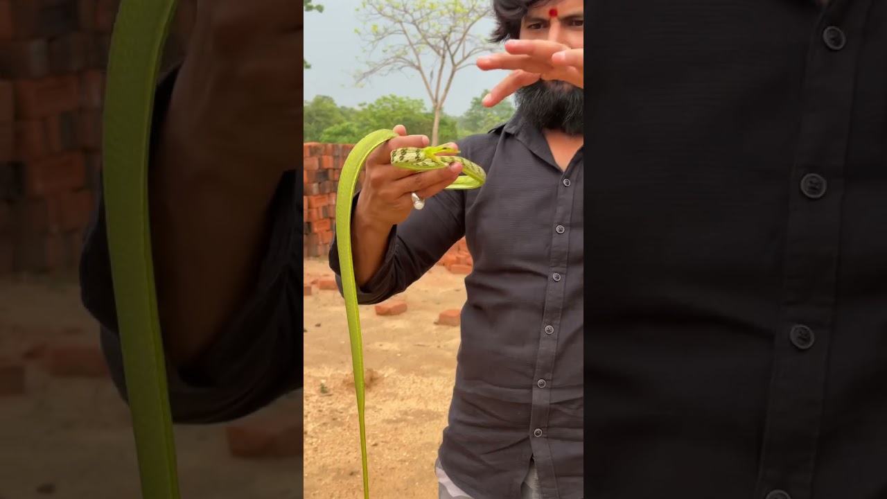 Murliwale Hausla Vishal fans.