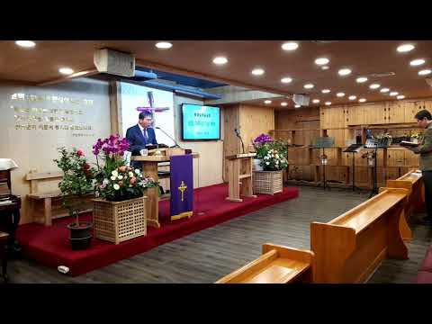 화정빛의숲교회 창립 10주년 기념예배(2026/03/08)
