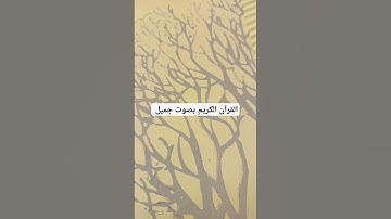 القرآن الكريم بصوت جميل #لايك #قرآن #الحياه #اكسبلور #القران_الكريم #ترند