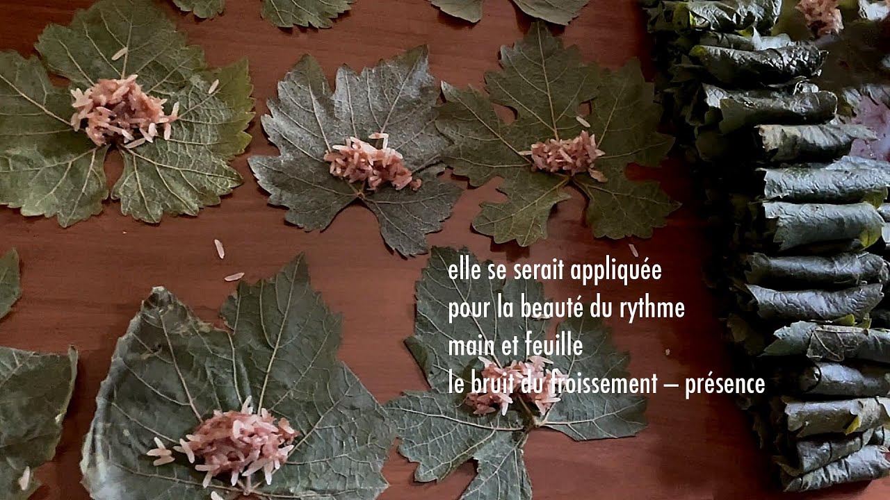 même patience de bras ouverts | gracia bejjani