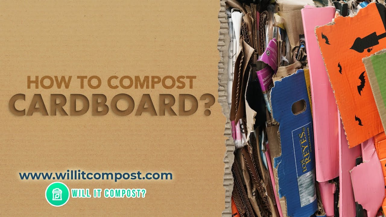 How to Compost Cardboard? YouTube