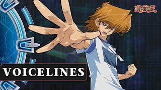 Joey Wheeler (Alt Style) [DM] All Dialogues (JP/EN/KO) [Yu-Gi-Oh! Duel Links]