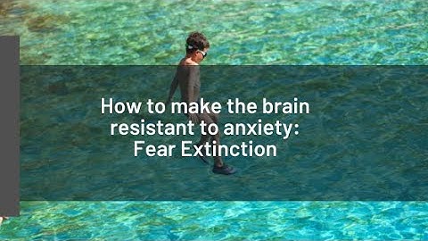 How does Fear Extinction Rewire the Brain for Calm?