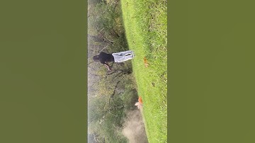 Micro Draco with binary trigger💥 #ak47 #microdraco #shooting #rapidfire #guns