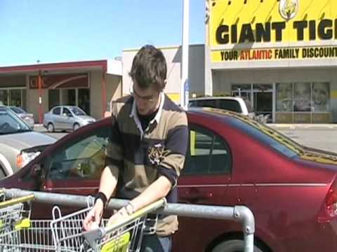 bam margera scavenger hunt list bam margera scavenger hunt list