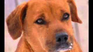 OKI - Miami Valley Lab Rescue