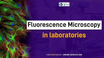 How Fluorescent Microscopy Works | Fluorescence Microscope Principle | IFAS