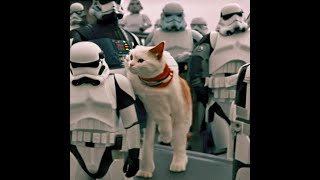 How-to get started creating AI Art with Stable Diffusion on any computer #stablediffusion #ai #aiart