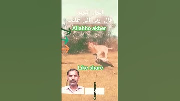 #القران_الكريم #تلاوه_خاشعه #قال  رب انیی ظلمت نفسی #الشيخ محمود الشحات #اكسبلور #تيك_توك #foryou