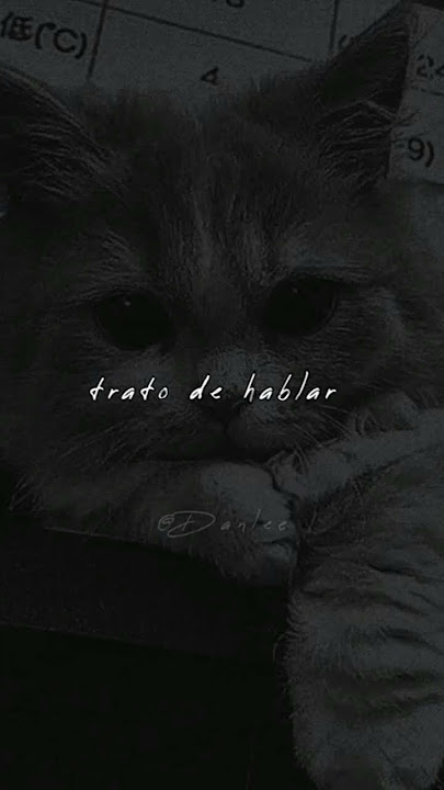 Bedroom - in my head #music #suscribete #rap #videolyric #shortsvideo #hiphopmusic #subscribe