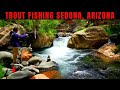 Trout Fishing Sedona