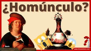 Qué Es Un Homúnculo?