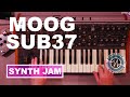 Moog SUB 37 - Synth Jam - Friday Fun