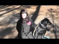 Kyle, Labrador, Episode 9 (dog obedience) - SUNL Atlanta Dog Training Kyle, Labrador, Episode 9 (dog obedience) - SUNL Atlanta Dog Training