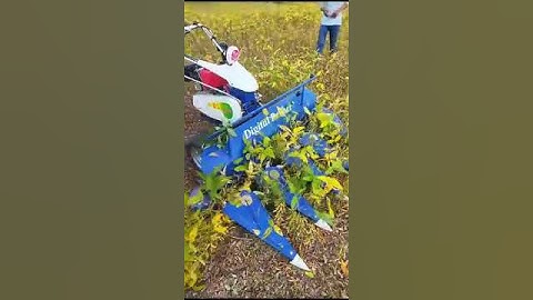 SOYABEAN KI KATAI - 9981817652