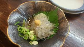 2020年9月5日 高知県2泊3日の旅　2日目！　#柏島　#足摺岬　#桂浜　#酔鯨亭