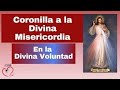 Coronilla a la Divina Misericordia en la Divina Voluntad.Misión Ruah