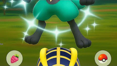 🔥 When I Got  Shiny Mega Lucario Pokemon Go