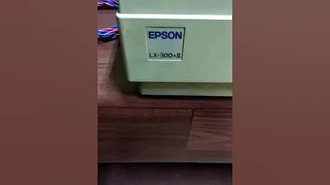 Epson LQ+300 setting(1)