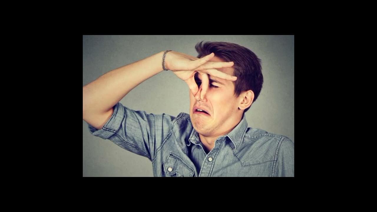 Diferencia entre un fármaco y un medicamento YouTube Diferencia entre un fármaco y un medicamento YouTube