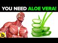 7 Benefits Of Aloe Vera You Need Everyday