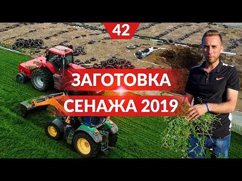 Уборка люцерны на