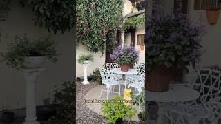 FLORES até Pelas PAREDES 😍#flores #jardim #garden #flowers #cottagecore