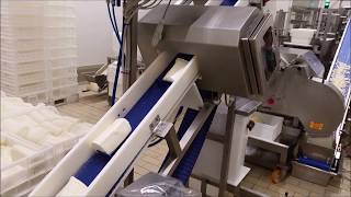Tecnovac Orion VG - Fully automatic packaging line for diced Mozzarella