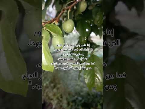 بعد الصبر سوف يأتي الفرج الحمد لله على كل حال