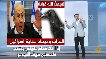فبعث الله غرابا 🐦⬛ الغراب وزوال الكيان 🔥نتنياهو يتوعد ويهدد القارئ الجزائري سحيم