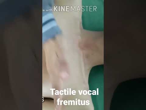 Tactile Vocal Fremitus