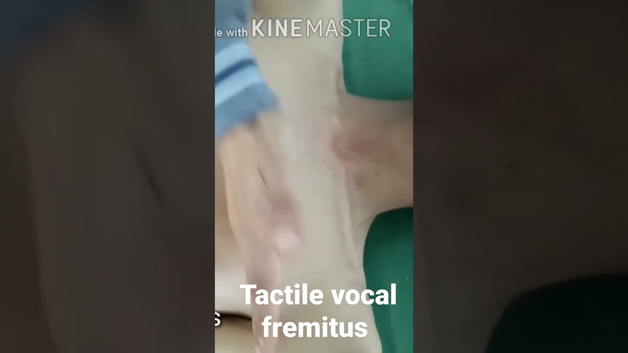 Tactile Vocal Fremitus