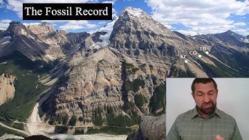 2_3 Evidence for Evolution 8: Fossil Record