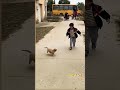 #I love dogs #short video