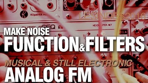 MAKE NOISE FUNCTION // ANALOG FM // FILTER