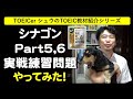 TOEICerシュウの教材紹介「TOEIC シナゴンPart5,6実戦練習問題 編」#317