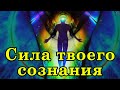 Понимание Сознания | Простое и Ясное Объяснение